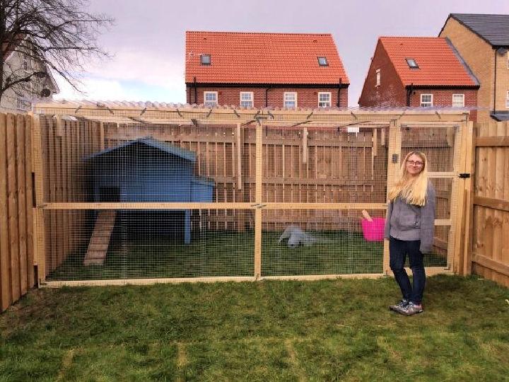 DIY Chicken Enclosure for Under £300