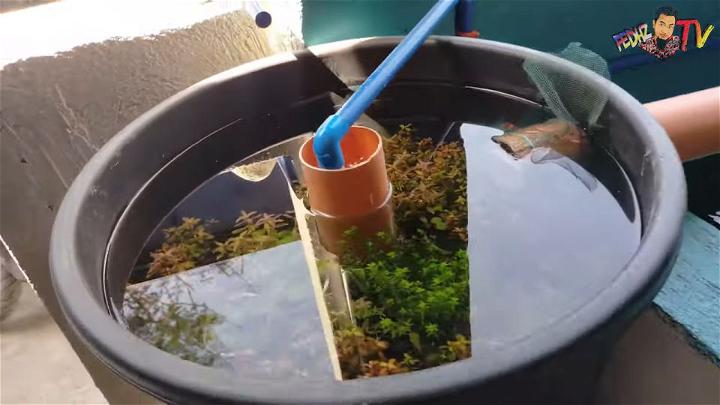 DIY Pond Filtration Systems