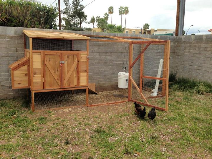 Homemade Raise Backyard Chicken Run