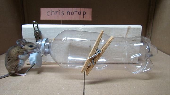 DIY Simple Soda Bottle Mousetrap