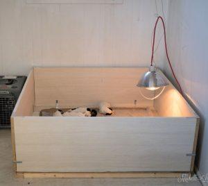 DIY Whelping Box For Your Pregnant Dog - Blitsy