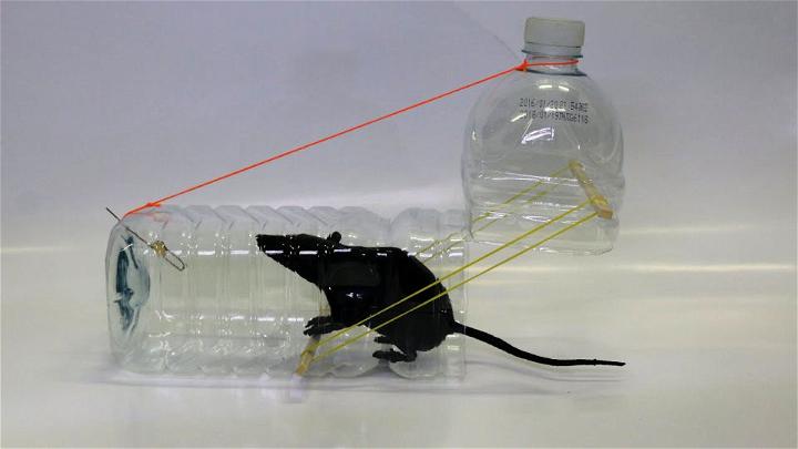 Easy Mouse Trap Using a Plastic Bottle