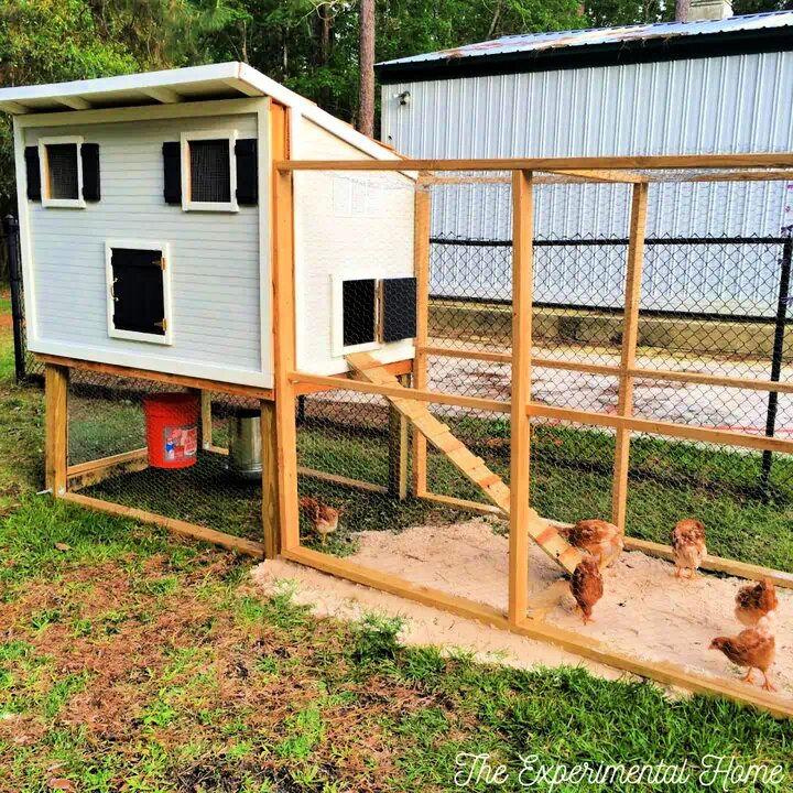 How to Build a Chicken Coop with Run