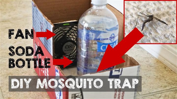 How to Trap Mosquitoes in House