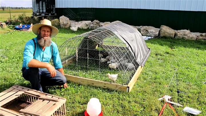 Low-Cost DIY Chicken Run at Home