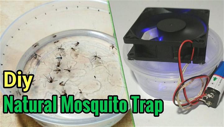 Natural Mosquito Trap Used Any Cooking Oil
