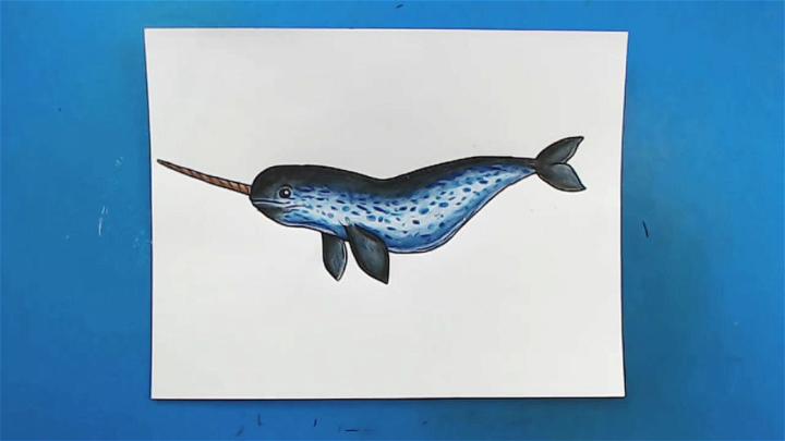 Realistic Narwhal Drawing