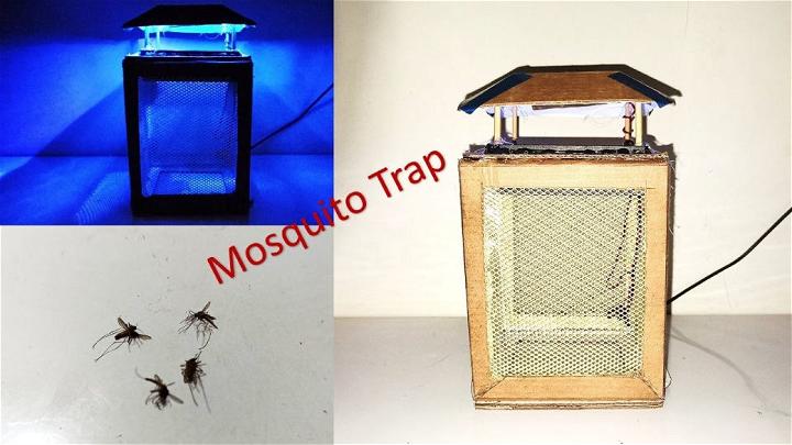 Simple Low Cost Mosquito Trap