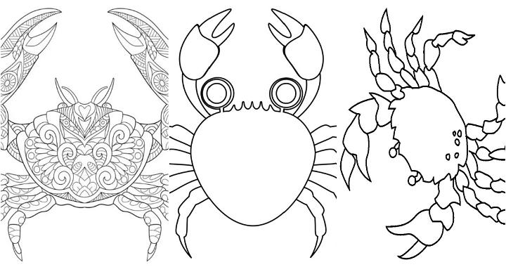 free printable crab coloring pages