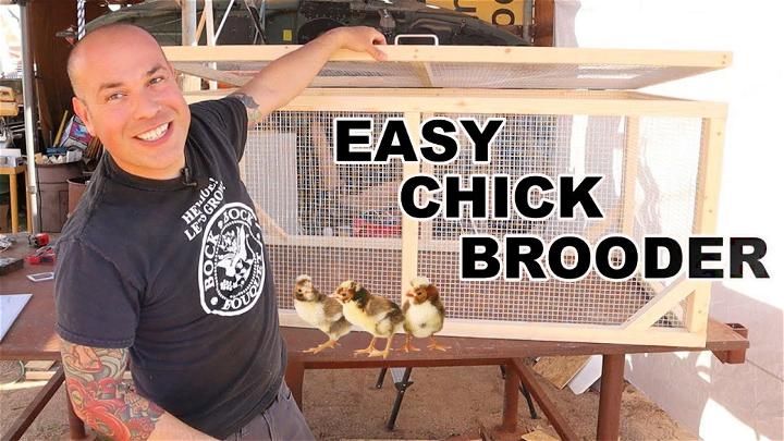 Best Chick Brooder Design