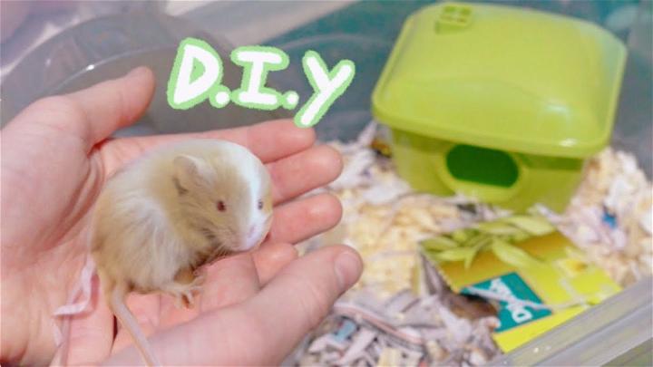 Bin Cage for Pet Rat