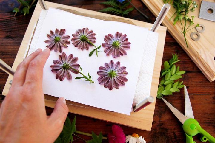 Build a Wooden Flower Press