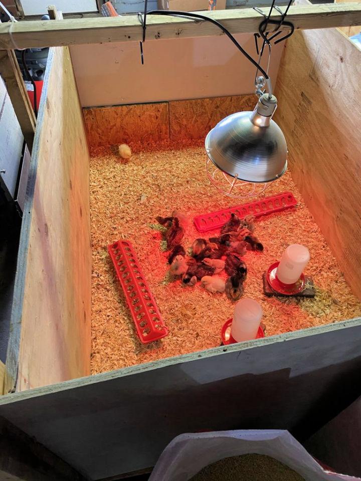 Make a Chick Brooder Using Pallets