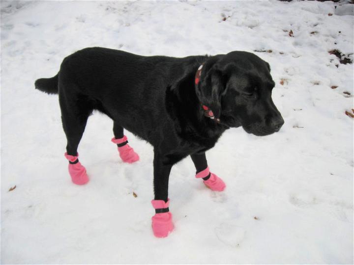 DIY 20 Minute Snow Boots for Dog