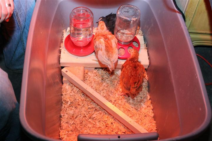 DIY Brooder Box Perch for Chicks