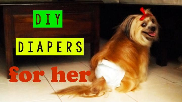 DIY Dog Period Diaper