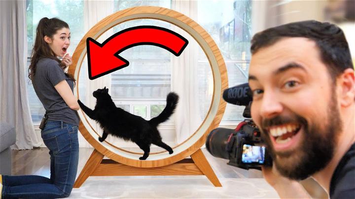 DIY Giant Hamster Wheel for Cat