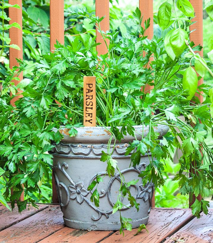 DIY Wood Burned Plant Marker