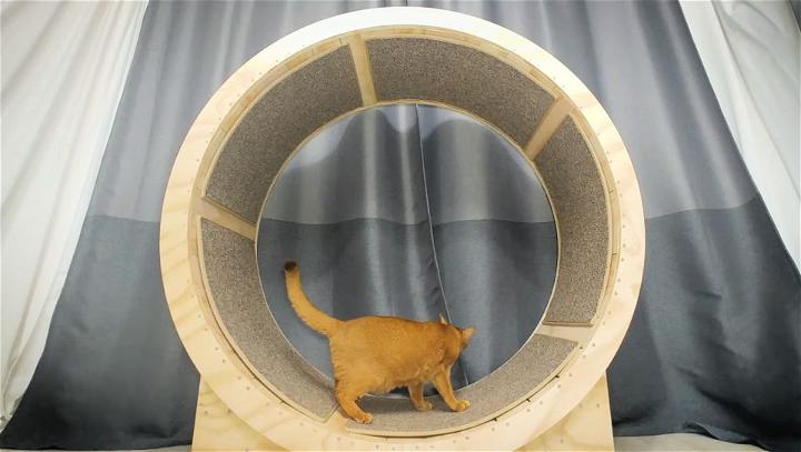 DIY Wooden Cat Wheel