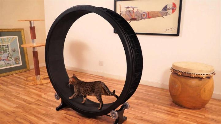 Easy DIY Cat Exercise Wheel