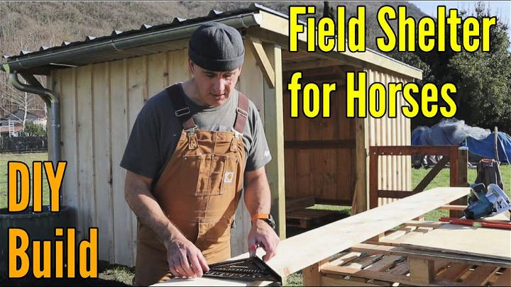 Easy DIY Field Shelter for Horses