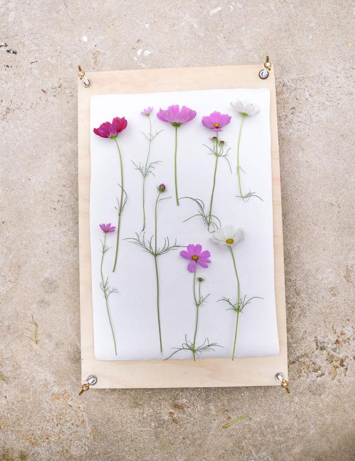 Easy to Make Flower Press