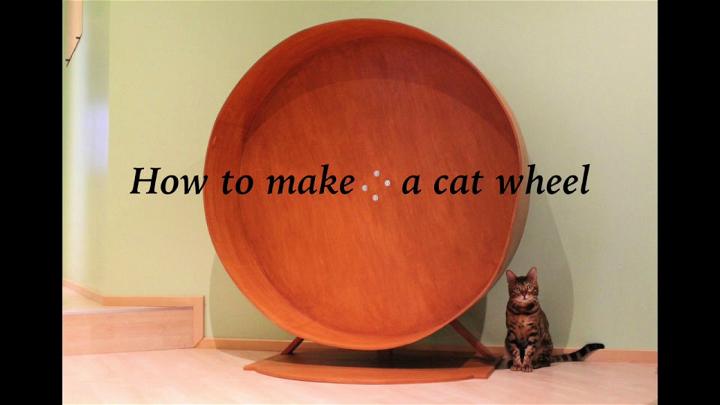 Handmade Cheap Cat Wheel Plan