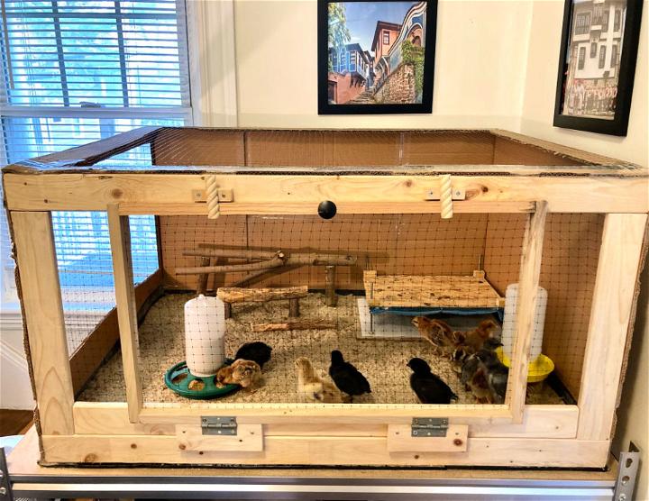 Homemade Chicken TV Brooder