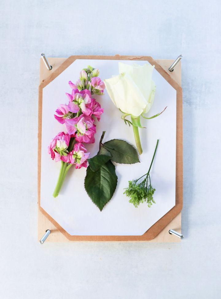Make Your Own Plywood Flower Press