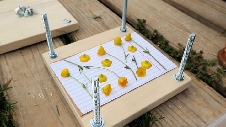 Making a Flower Press for Under $15