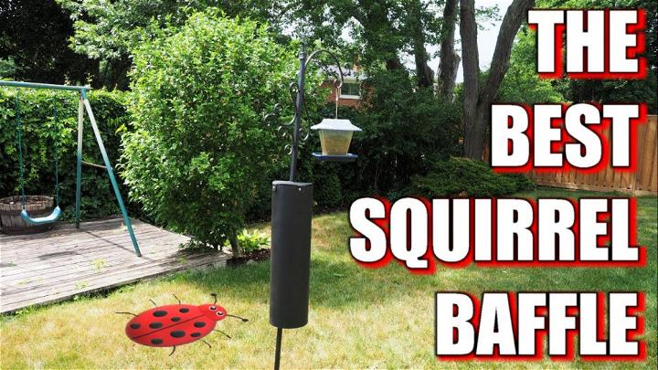 Making a Squirrel Baffle for Under $10