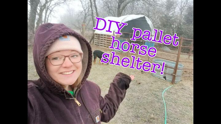 Mini Horse Shelter Out of Pallets