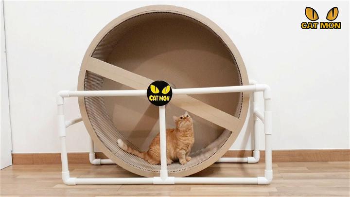 PVC Pipe and Cardboard Cat Wheel