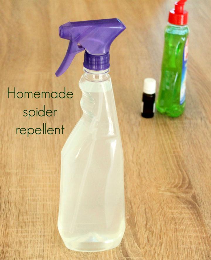 Simple and Natural DIY Spider Repellent