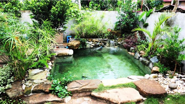 Small Koi Fish Pond for Garden