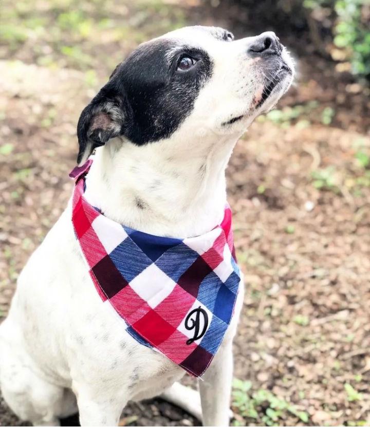 How to Make Dog Bandanas in15 Minutes