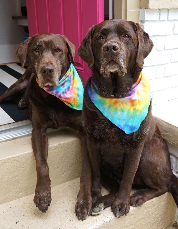 Rainbow Tie Dye Dog Bandana