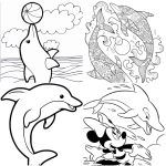 25 Free Dolphin Coloring Pages for Kids and Adults