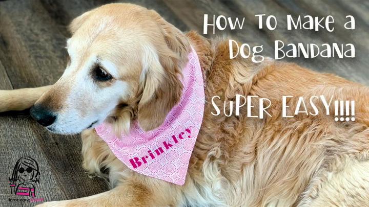 No Sew Dog Handkerchief for Beginners