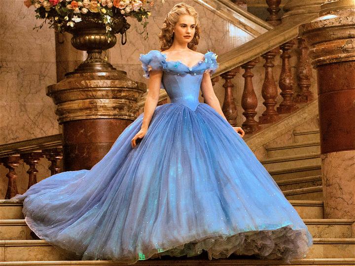 DIY Cinderella Costume for Women's