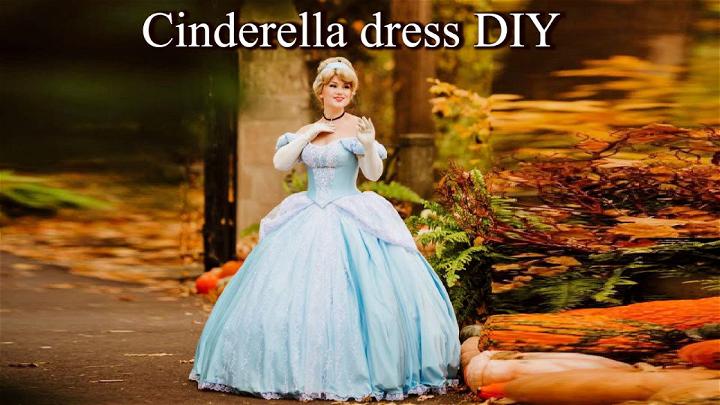 DIY Cinderella Costume for Adults