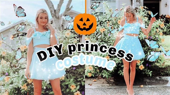 DIY Cinderella Princess Halloween Costume