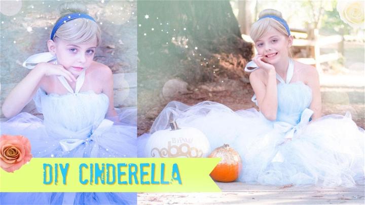 DIY Cinderella Tutu Dress Costume