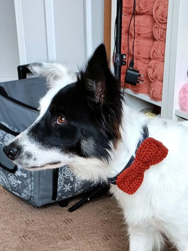 Crochet Hugo Bow Tie Pattern for Dogs