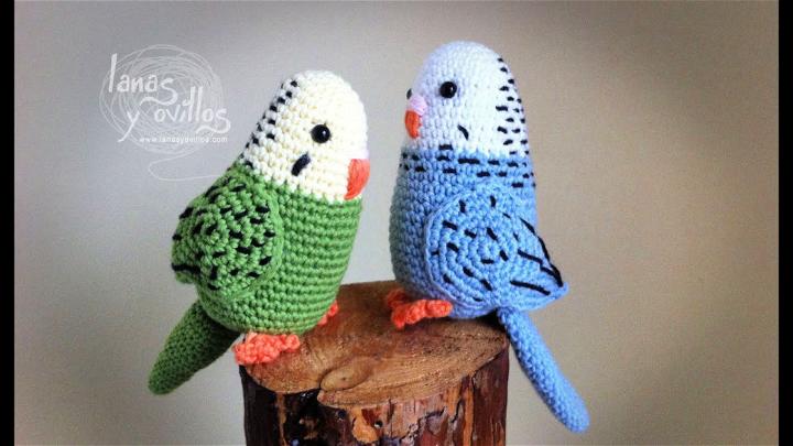 Beautiful Crochet Parakeet Pattern