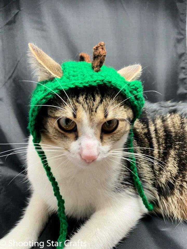 Simple Crochet Dinosaur Cat Hat Pattern