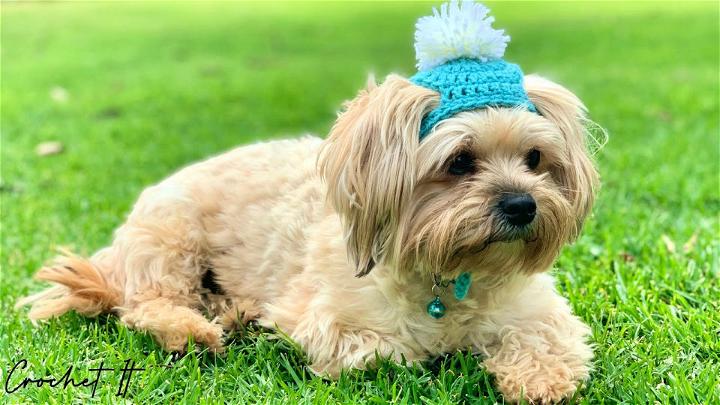 Crochet Dog Winter Beanie Hat Pattern