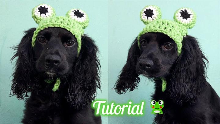 Crochet Frog Hat Pattern for Dogs