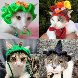 Crochet Hat Pattern for Cat15 Free Crochet Hat Patterns for Cats (Cat Hat Pattern)
