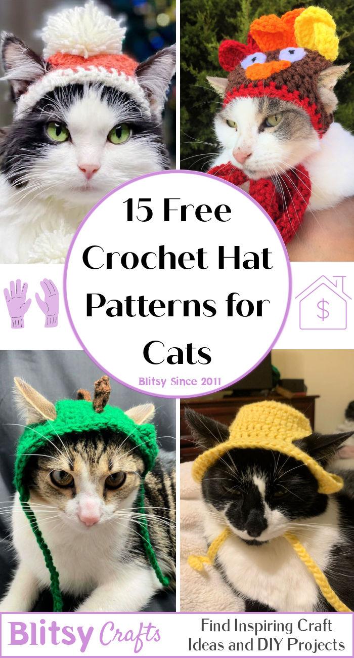 15 Free Crochet Hat Patterns for Cats (Cat Hat Pattern)